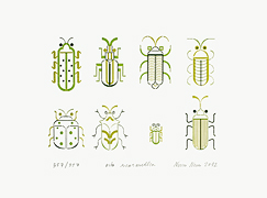Beetles print
